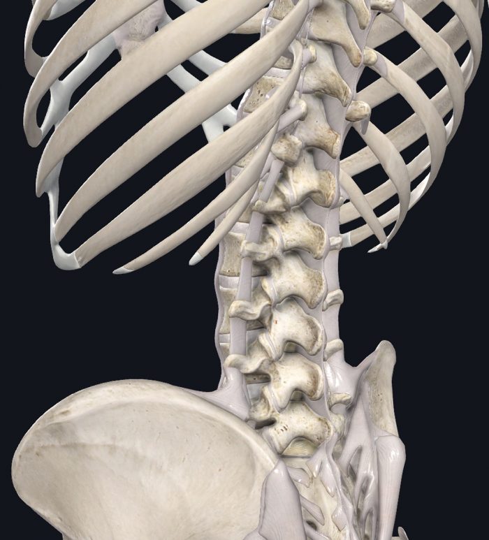 Lower Back Pain