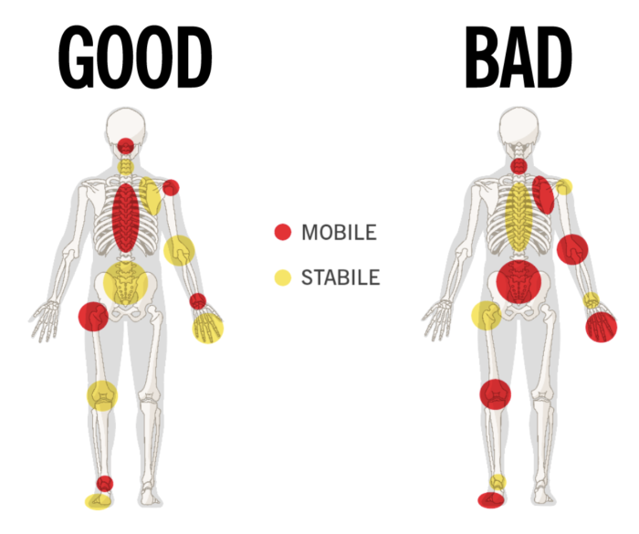 Thoracic stiffness