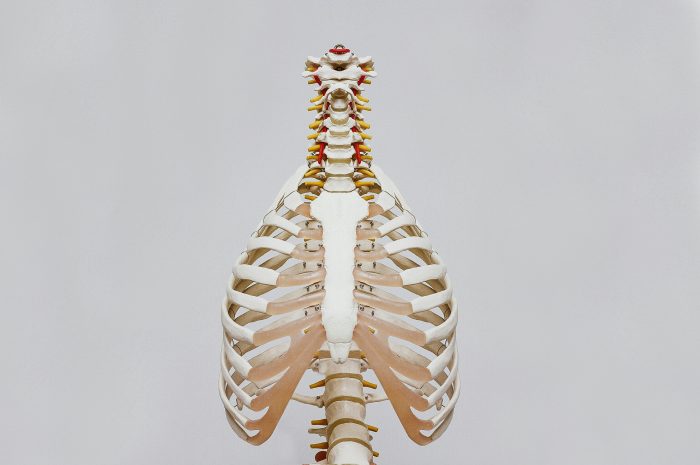 Thoracic Stiffness